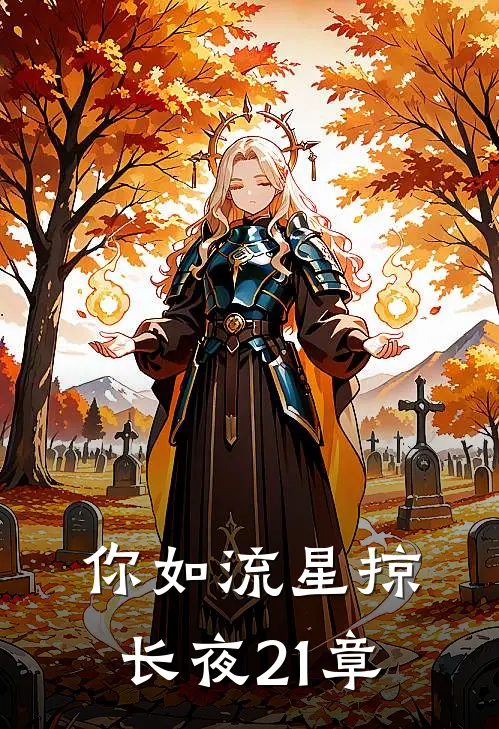 你如流星掠长夜21章