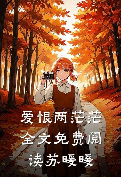 爱恨两茫茫全文免费阅读苏暖暖