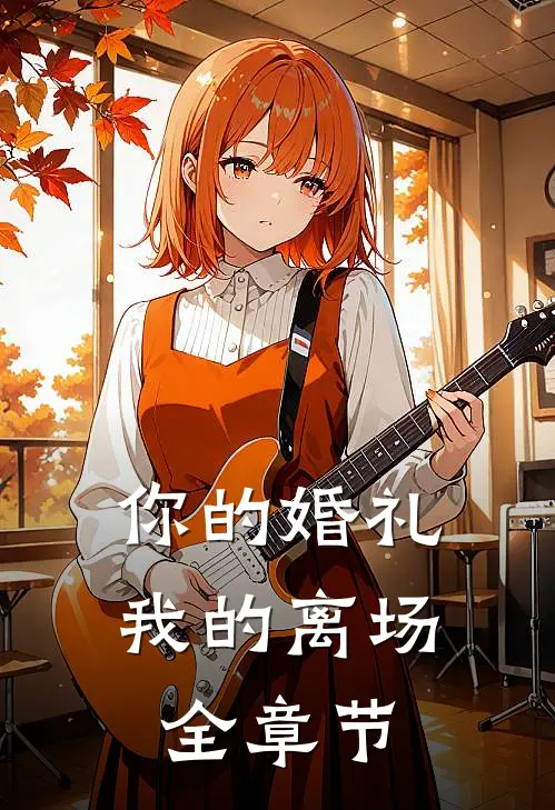 你的婚礼,我的离场全章节阅读