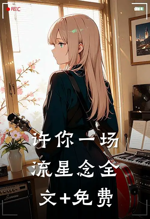 许你一场流星念全文+免费