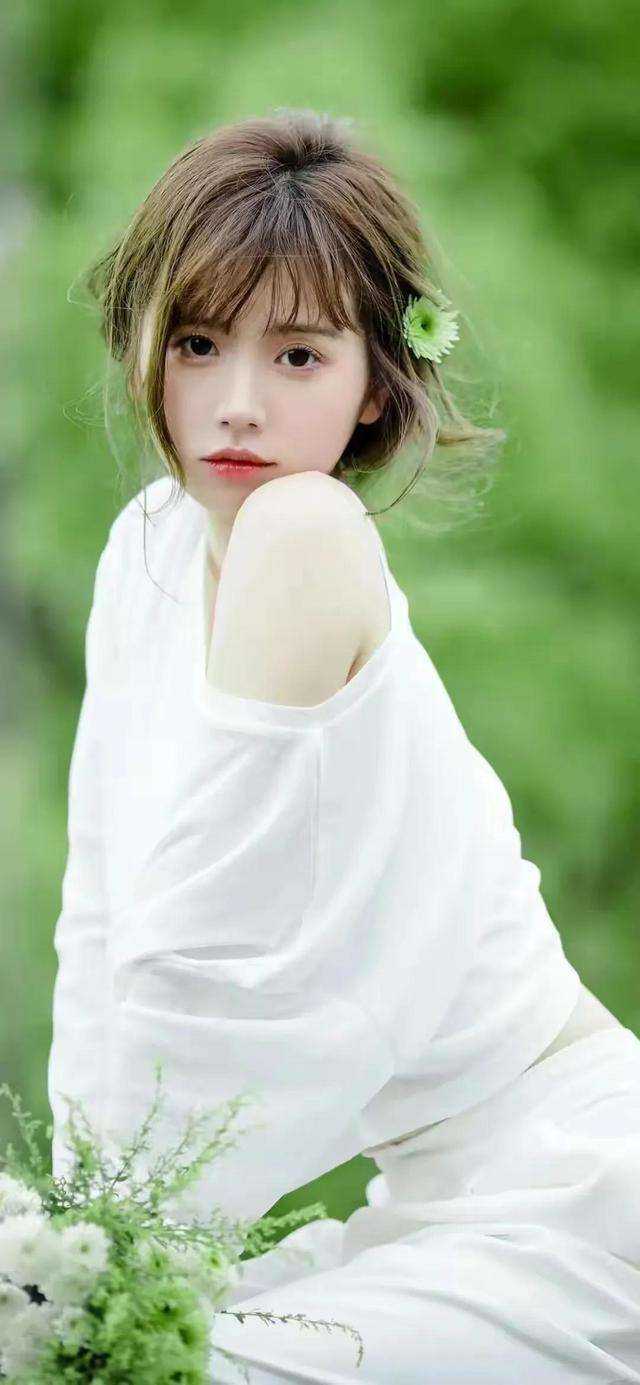 伽蓝如梦情如尘免费阅读全文