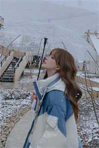 西风暮雪埋初心全文免费阅读