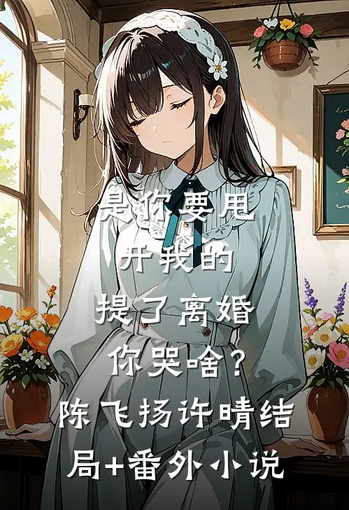 是你要甩开我的，提了离婚你哭啥？陈飞扬许晴结局+番外小说