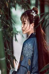 甩掉前夫后，满朝文武都以为我和暴君有一腿列表
