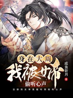 安锦绣年畅读全文版