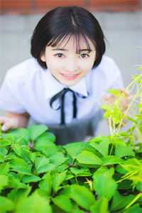 全章节陆北辰慕南希