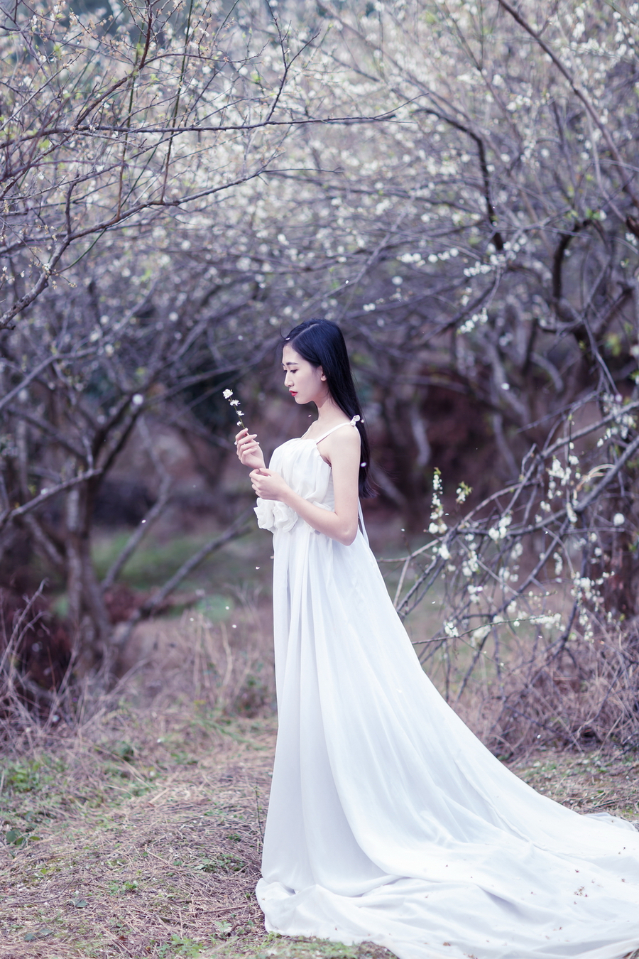 榜一大姐没钱后，天降神豪系统畅销书籍