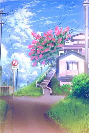 全本小说错孕缠爱
