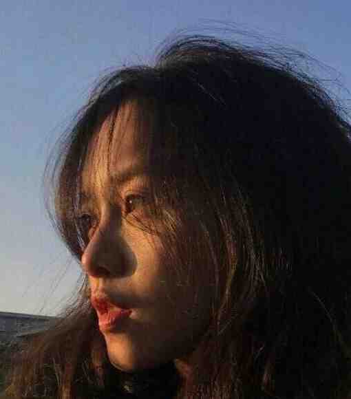 倘若东风不知意篇章