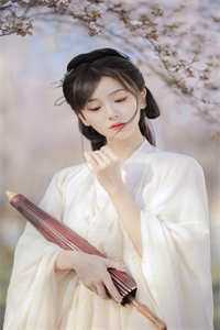 曾叹惜梨花灼灼人气小说