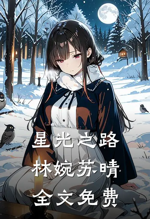 星光之路林婉苏晴全文免费