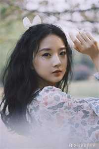 年荼 西昂 陆湛全集小说阅读
