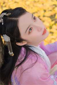 伽蓝如梦情如尘全文章节