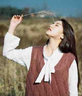 与君不复渡忘川的小说