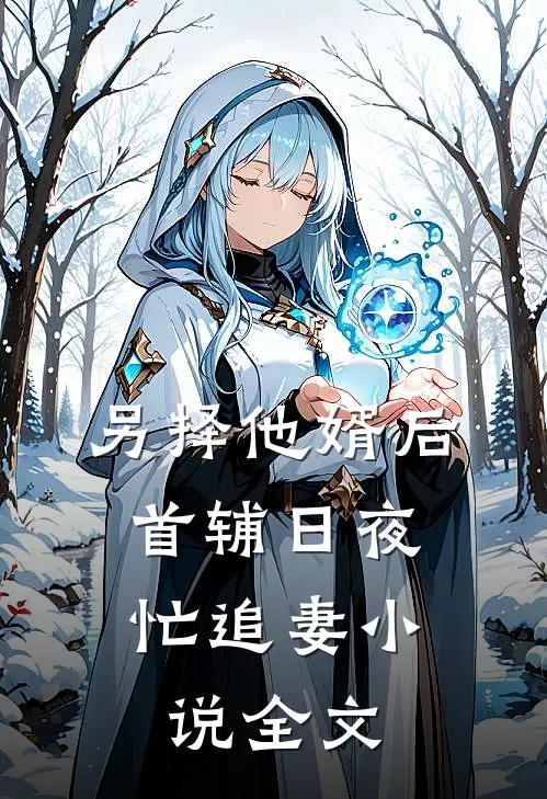 另择他婿后，首辅日夜忙追妻小说全文