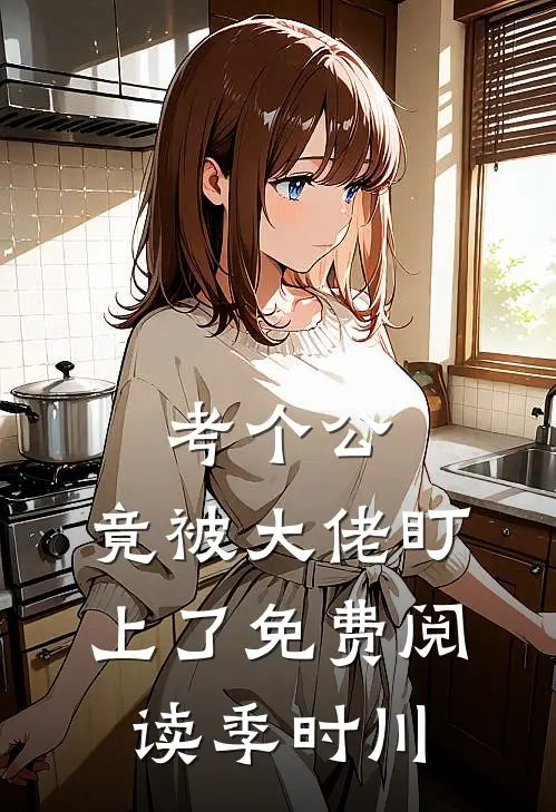 考个公，竟被大佬盯上了免费阅读季时川