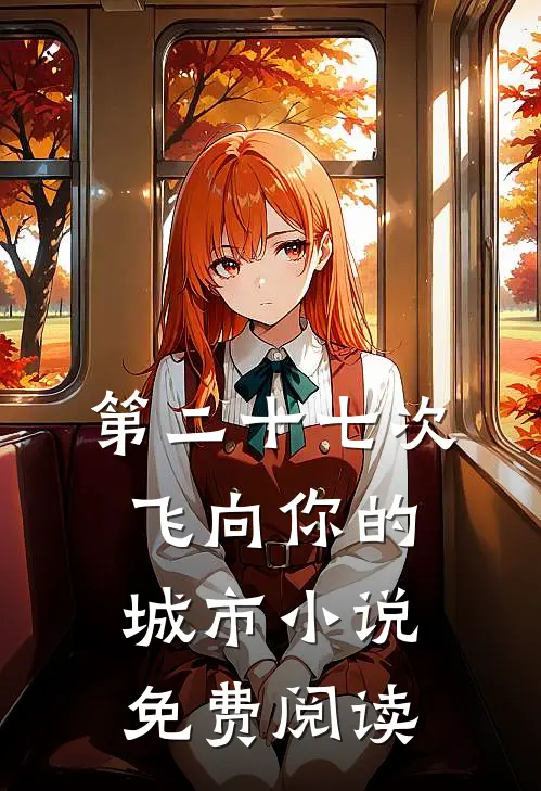 第二十七次飞向你的城市小说免费阅读