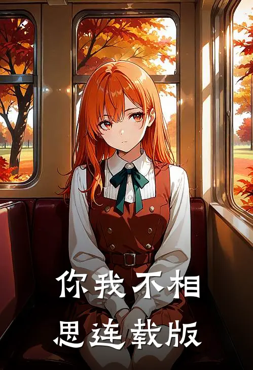 你我不相思连载版