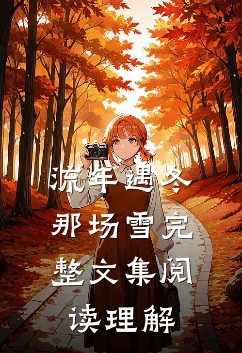 流年遇冬那场雪完整文集阅读理解