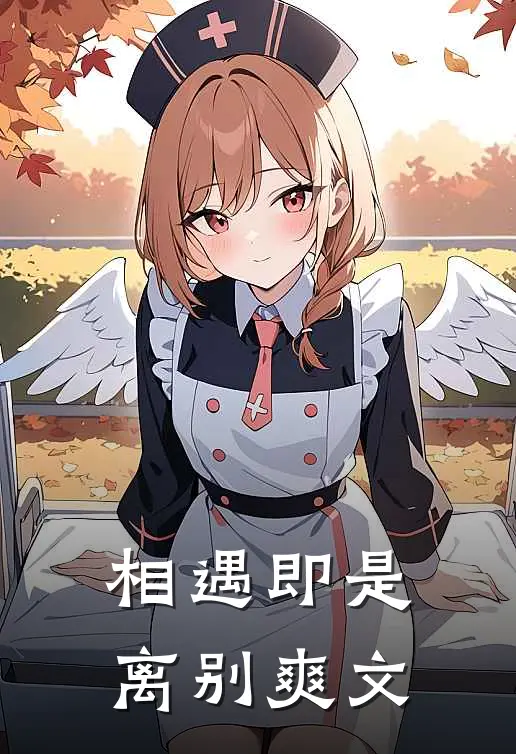 相遇即是离别爽文