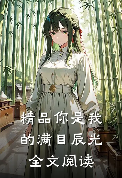 精品你是我的满目辰光全文阅读