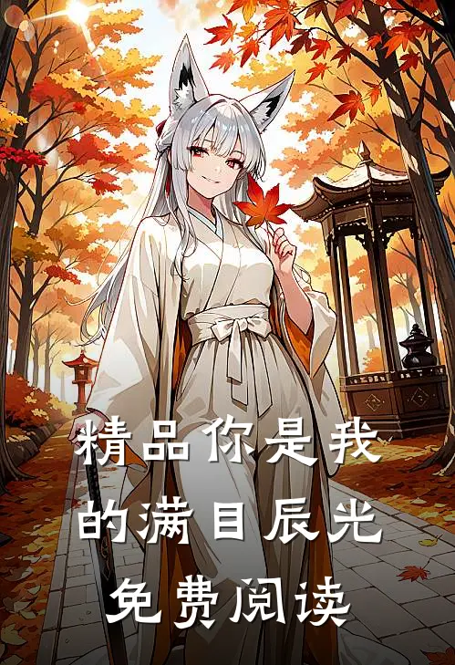 精品你是我的满目辰光免费阅读