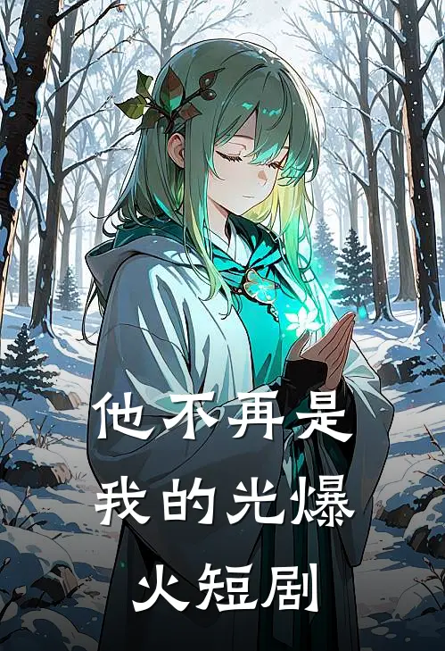他不再是我的光爆火短剧