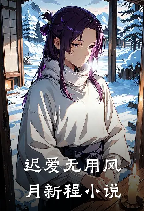 迟爱无用风月新程小说