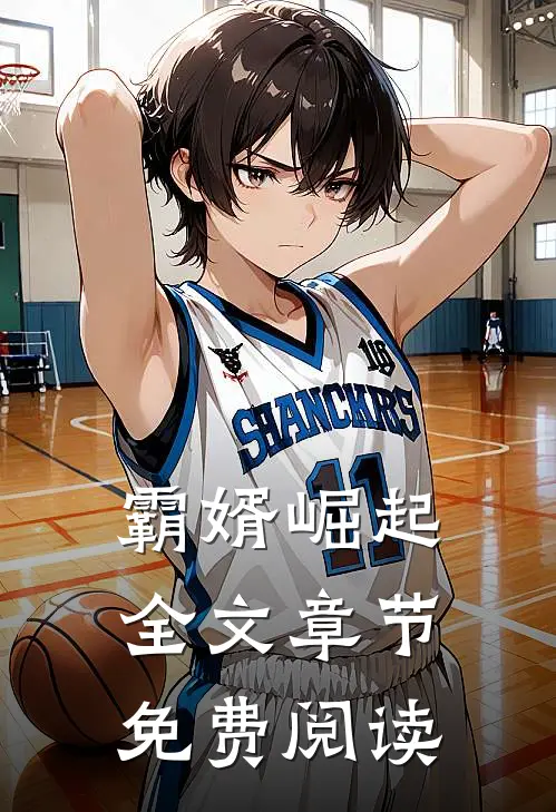 霸婿崛起全文章节免费阅读