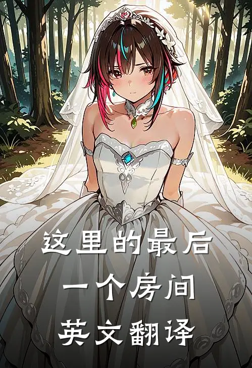 这里的最后一个房间英文翻译
