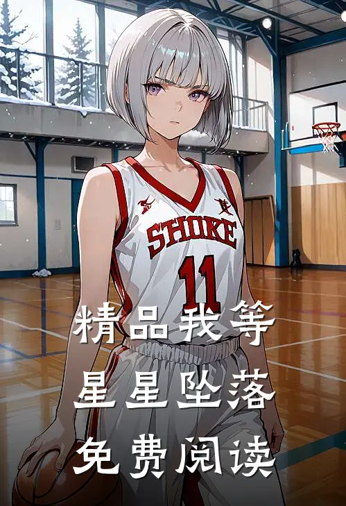 精品我等星星坠落免费阅读