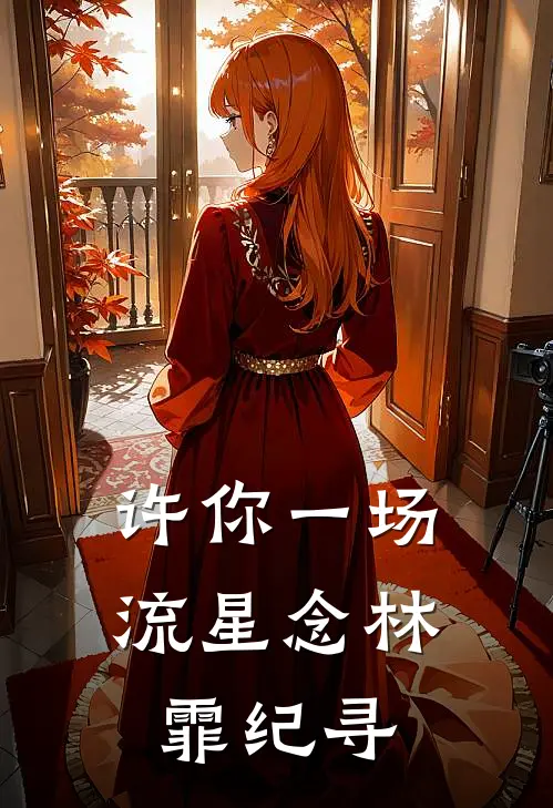 许你一场流星念林霏纪寻