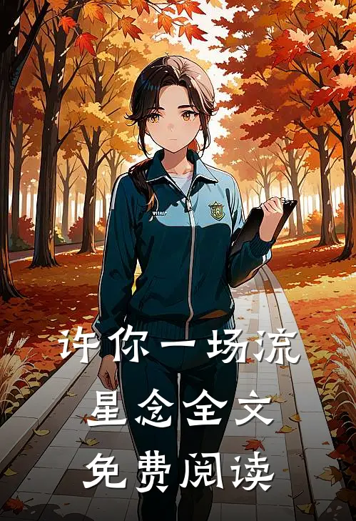 许你一场流星念全文免费阅读