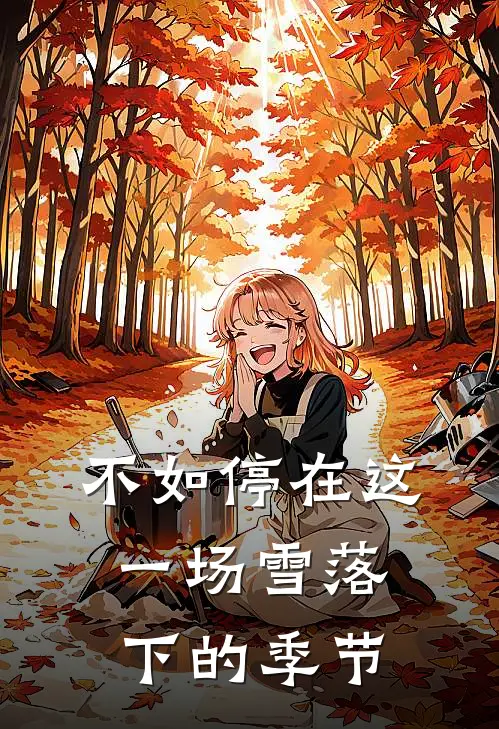 不如停在这一场雪落下的季节