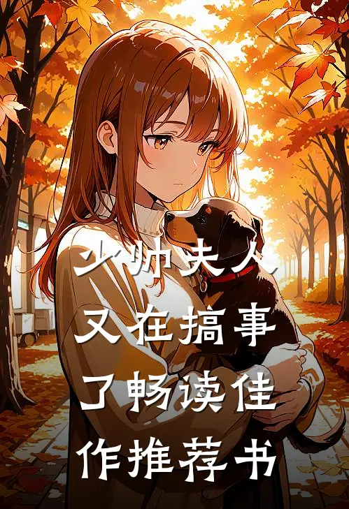 少帅夫人又在搞事了畅读佳作推荐书
