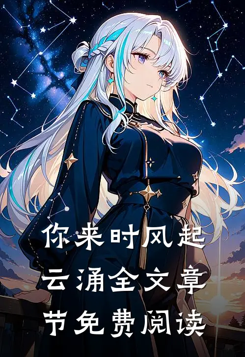 你来时风起云涌全文章节免费阅读