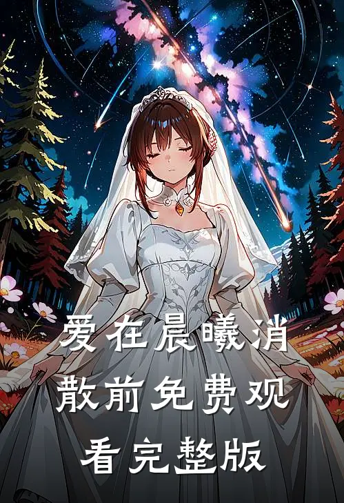 爱在晨曦消散前免费观看完整版