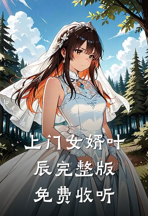 上门女婿叶辰完整版免费收听