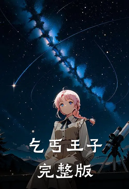 乞丐王子完整版