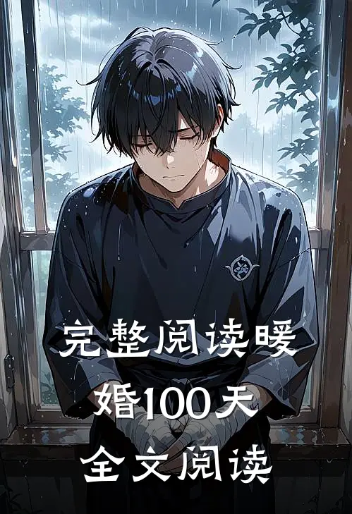 完整阅读暖婚100天全文阅读