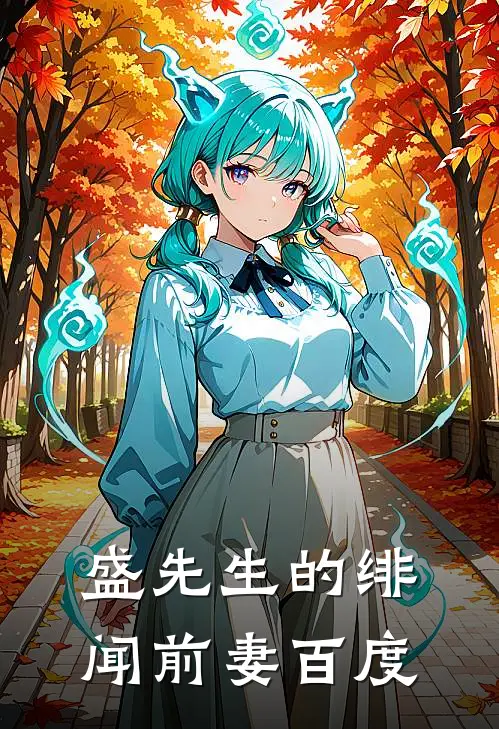 盛先生的绯闻前妻百度