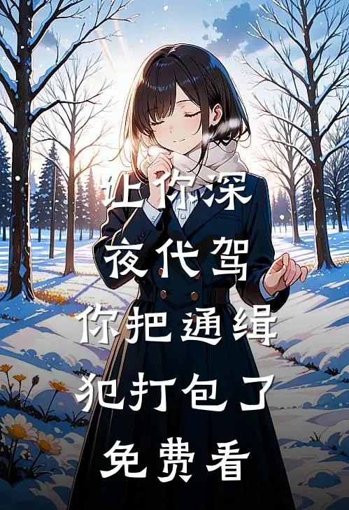 让你深夜代驾，你把通缉犯打包了免费看