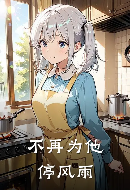 不再为他停风雨歌词