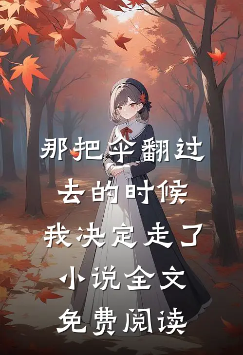 那把伞翻过去的时候，我决定走了小说全文免费阅读