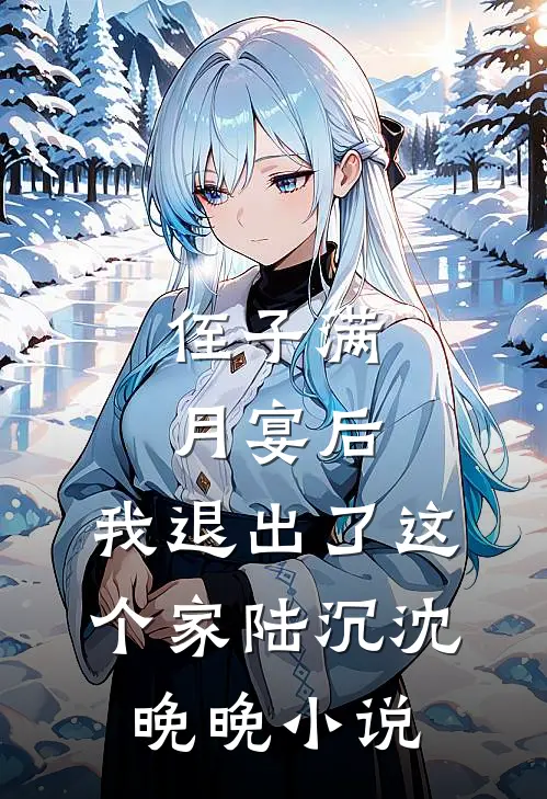 侄子满月宴后，我退出了这个家陆沉沈晚晚小说