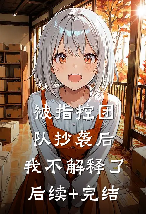 被指控团队抄袭后，我不解释了后续+完结