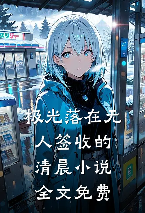 极光落在无人签收的清晨小说全文免费