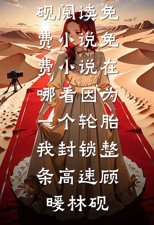 因为一个轮胎，我封锁整条高速顾暖林砚阅读免费小说_免费小说在哪看因为一个轮胎，我封锁整条高速顾暖林砚