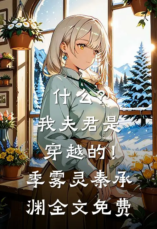 什么？我夫君是穿越的！季雾灵秦承渊全文免费