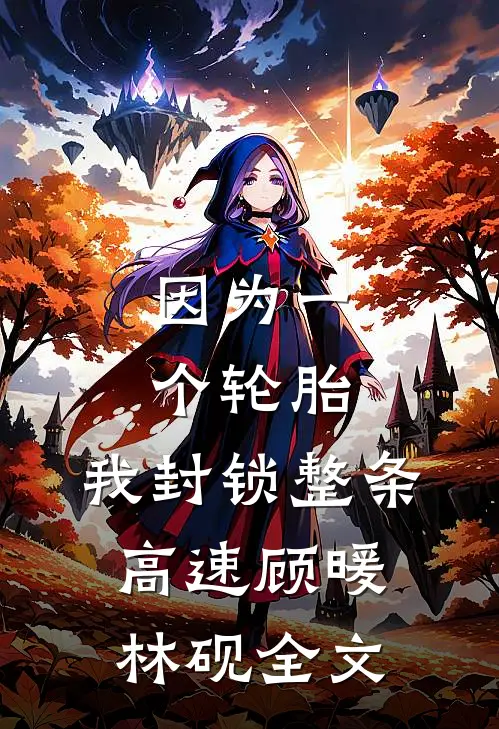 因为一个轮胎，我封锁整条高速顾暖林砚全文